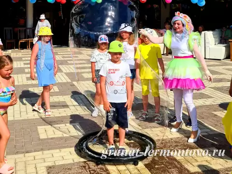 Профессиональные аниматоры
